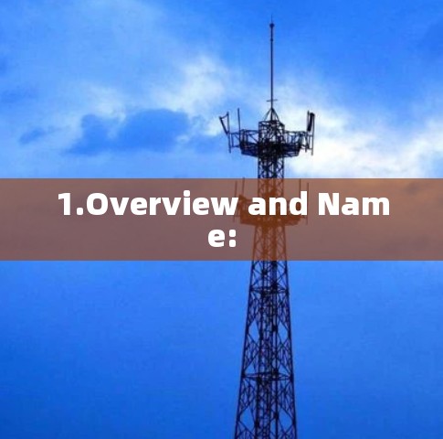 1.Overview and Name: 1.Overview and Name: