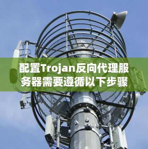 配置Trojan反向代理服务器需要遵循以下步骤 配置Trojan反向代理服务器需要遵循以下步骤