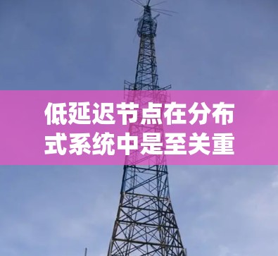 低延迟节点在分布式系统中是至关重要的，直接影响系统的响应速度和用户体验。以下是对低延迟节点的详细分析