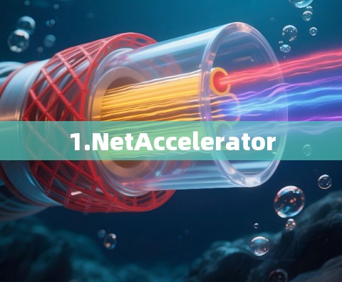 1.NetAccelerator 1.NetAccelerator