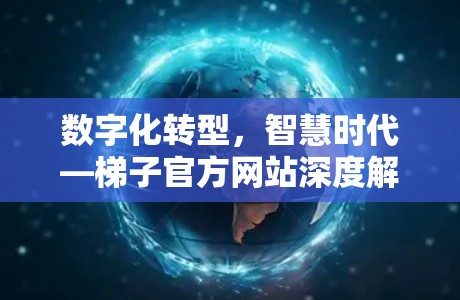 数字化转型，智慧时代—梯子官方网站深度解析