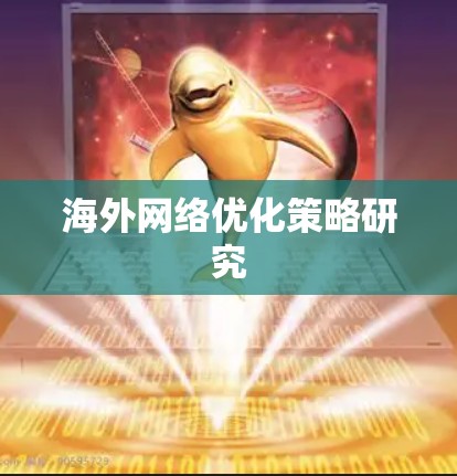 海外网络优化策略研究