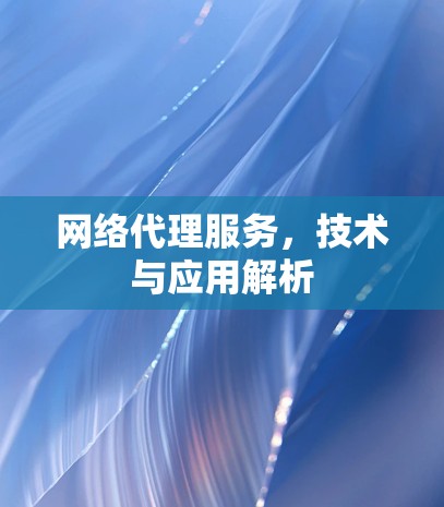 网络代理服务,技术与应用解析 网络代理服务,技术与应用解析
