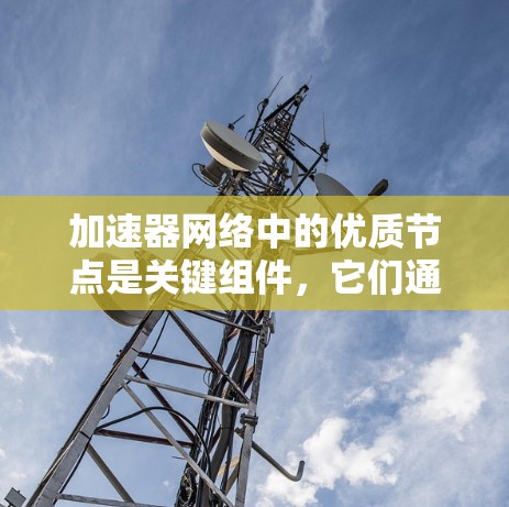 加速器网络中的优质节点是关键组件，它们通过强大的计算能力、丰富的存储资源和高性能的网络连接，为加速器网络提供了核心的数据处理和传输支持。以下是优质节点的详细分析