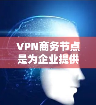 VPN商务节点是为企业提供高安全性、可靠性和管理功能的专用VPN服务，旨在帮助企业保护敏感数据，确保网络安全，并提供高效的网络连接。以下是对商务节点的详细总结