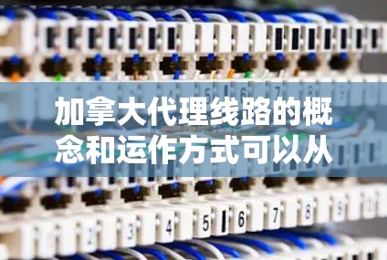 加拿大代理线路的概念和运作方式可以从以下几个方面进行分析和理解