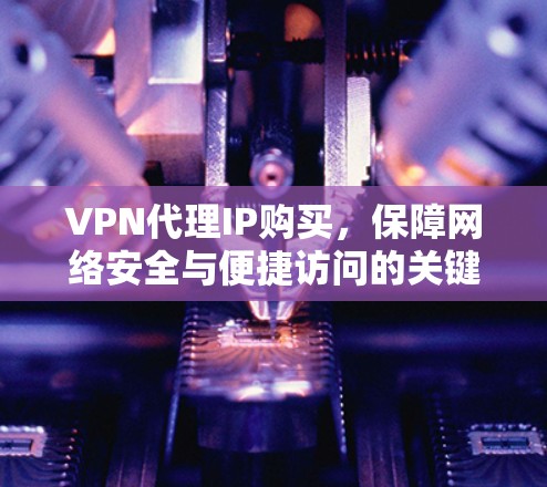 VPN代理IP购买，保障网络安全与便捷访问的关键