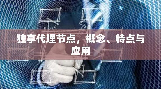独享代理节点，概念、特点与应用