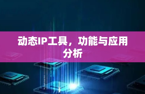 动态IP工具，功能与应用分析