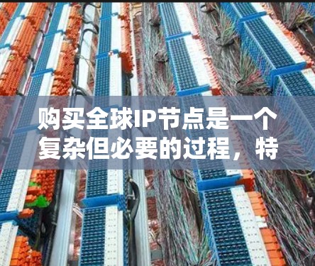 购买全球IP节点是一个复杂但必要的过程，特别是如果你希望确保你的网络服务能够在全球范围内高效、安全地运行。以下是购买全球IP节点的详细步骤