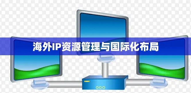 海外IP资源管理与国际化布局