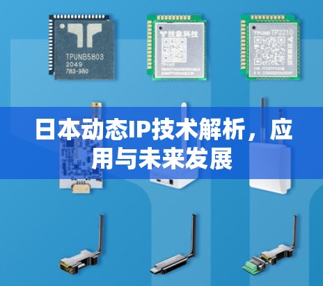 日本动态IP技术解析，应用与未来发展