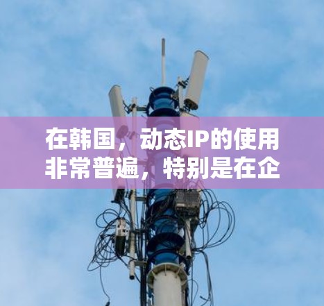 在韩国，动态IP的使用非常普遍，特别是在企业和家庭环境中。通过DHCP服务器，网络管理员可以动态地分配IP地址，减少手动配置的工作量，并提高网络的灵活性和管理效率
