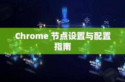 Chrome 节点设置与配置指南