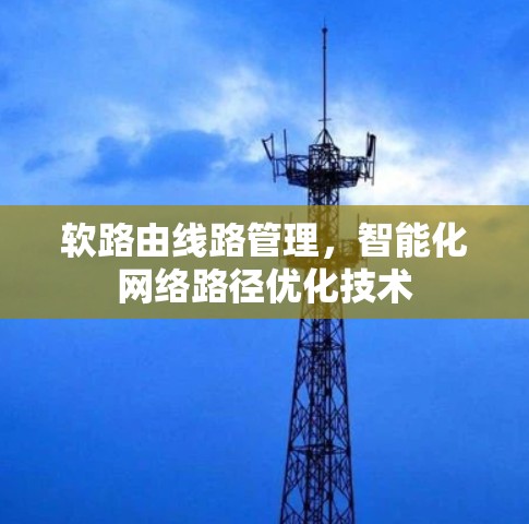 软路由线路管理，智能化网络路径优化技术