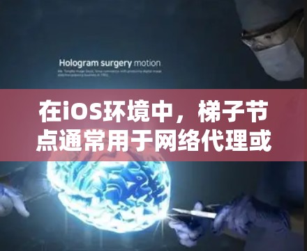在iOS环境中,梯子节点通常用于网络代理或中继,类似于在其他平台上设置代理服务器。以下是一些可能的情况和步骤 在iOS环境中,梯子节点通常用于网络代理或中继,类似于在其他平台上设置代理服务器。以下是一些可能的情况和步骤