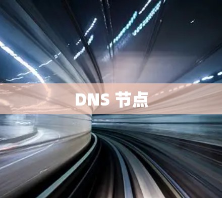 DNS 节点 DNS 节点