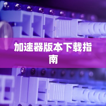 加速器版本下载指南 加速器版本下载指南