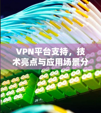 VPN平台支持,技术亮点与应用场景分析 VPN平台支持,技术亮点与应用场景分析