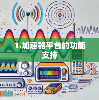 1.加速器平台的功能支持 1.加速器平台的功能支持