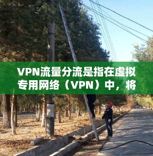 VPN流量分流是指在虚拟专用网络(VPN)中,将数据流量分配到不同的路径或服务器,以优化网络性能、提高安全性或满足特定访问控制需求。以下是关于VPN流量分流的一些关键点和方法 VPN流量分流是指在虚拟专用网络(VPN)中,将数据流量分配到不同的路径或服务器,以优化网络性能、提高安全性或满足特定访问控制需求。以下是关于VPN流量分流的一些关键点和方法