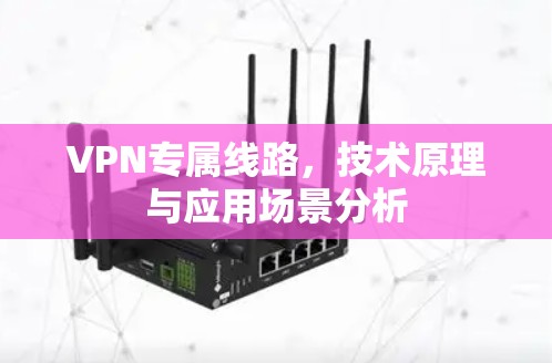 VPN专属线路,技术原理与应用场景分析 VPN专属线路,技术原理与应用场景分析