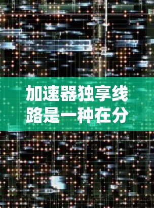 加速器独享线路是一种在分布式计算和数据处理系统中用于提高效率的资源分配策略。以下是对这一概念的详细分析和总结