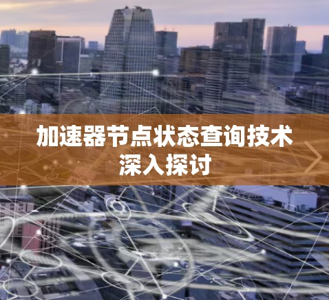加速器节点状态查询技术深入探讨 加速器节点状态查询技术深入探讨